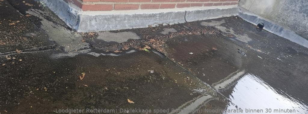 Daklekkage spoed Rotterdam: Noodreparatie binnen 30 minuten
