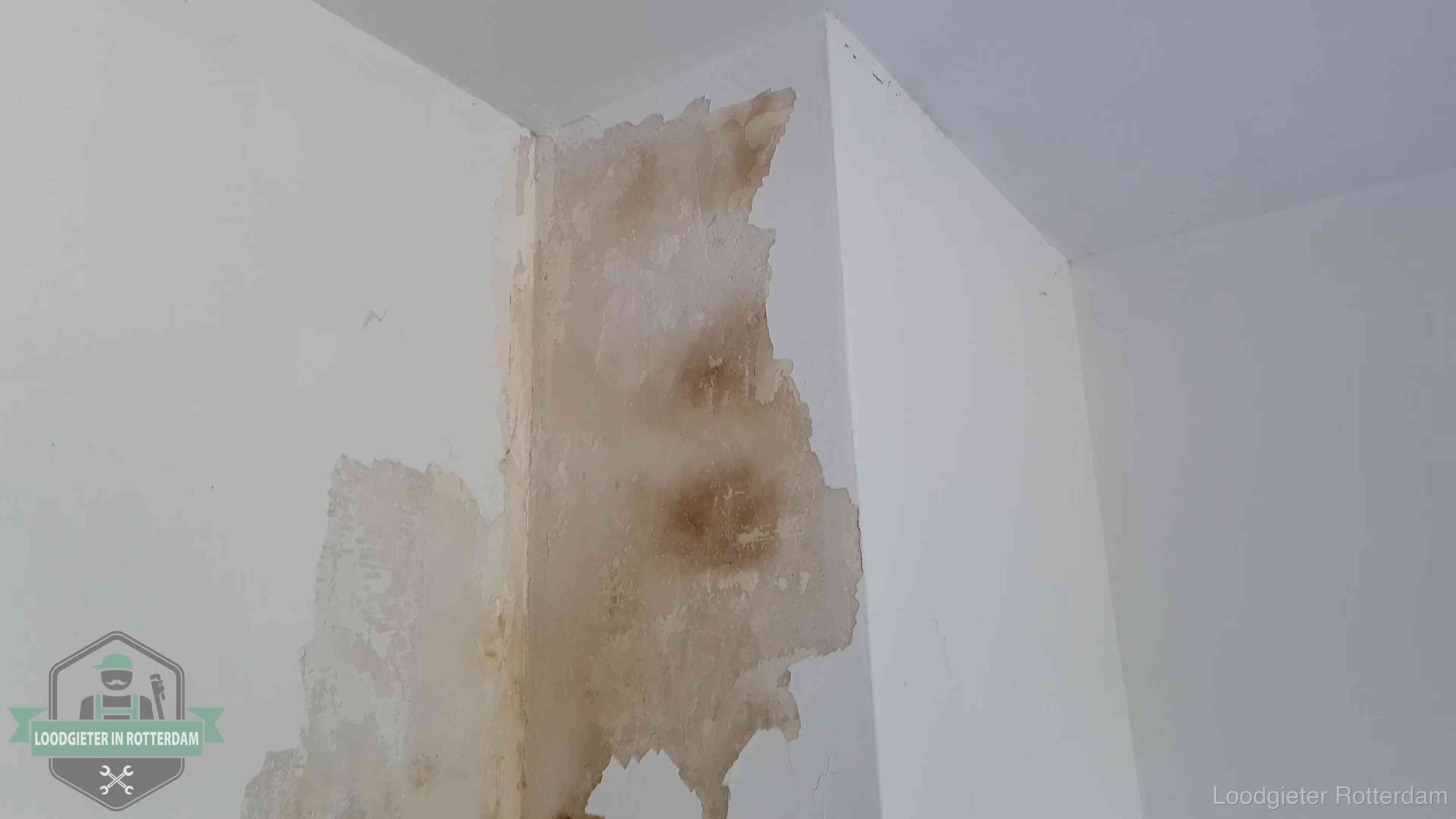 Daklekkage herkennen in Rotterdam Bruine vochtkringen en afbladderend stucwerk op een binnenmuur in Rotterdam, een eerste teken van daklekkage