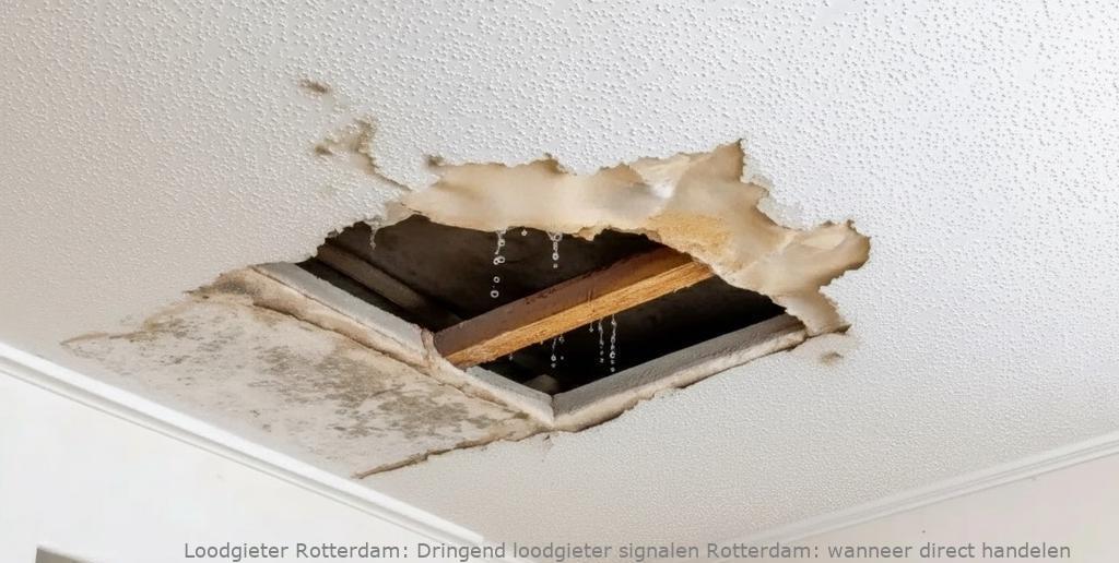 Dringend loodgieter signalen Rotterdam: wanneer direct handelen