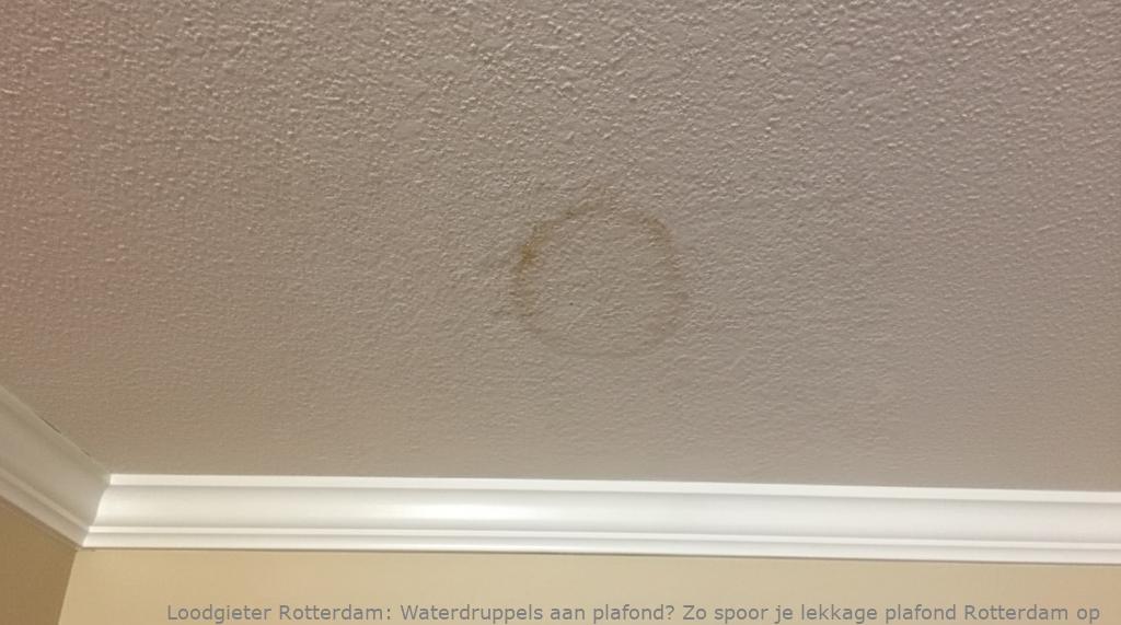 Waterdruppels aan plafond? Zo spoor je lekkage plafond Rotterdam op