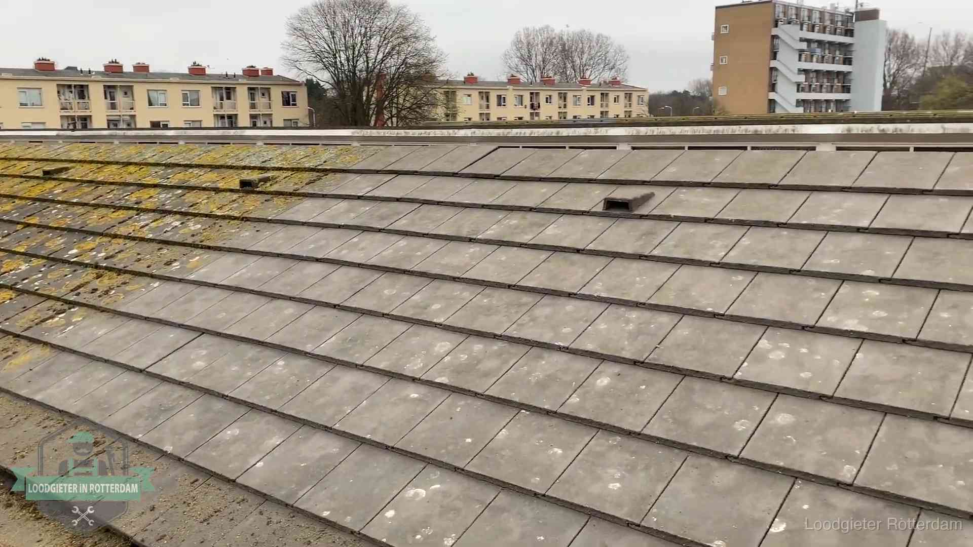 Dakpannen op een schuin dak in Rotterdam Schuin dak met betonpannen vol mos in Rotterdam, een risico op lekkage bij de pannen