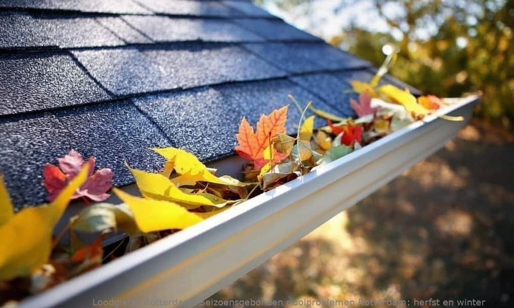 Seizoensgebonden rioolproblemen Rotterdam: herfst en winter