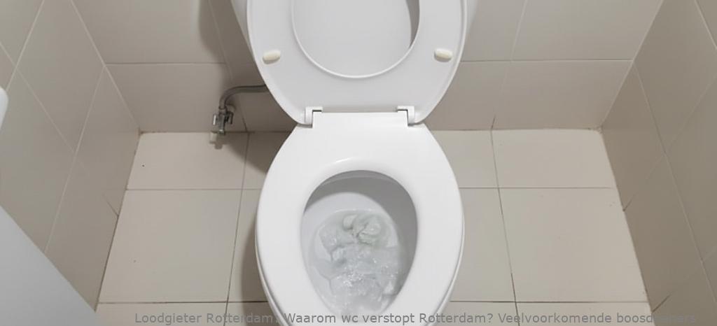 Waarom wc verstopt Rotterdam? Veelvoorkomende boosdoeners